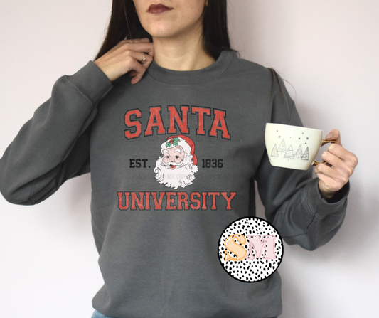 Santa University